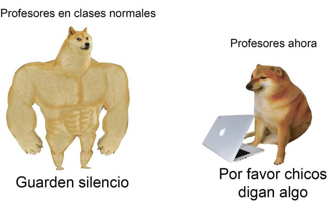 memes de perros para whatsapp