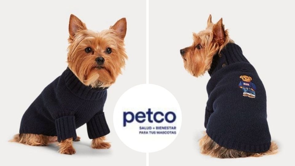 petco perros