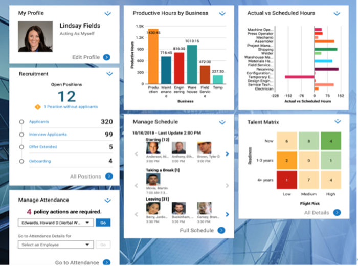 workforce dimensions