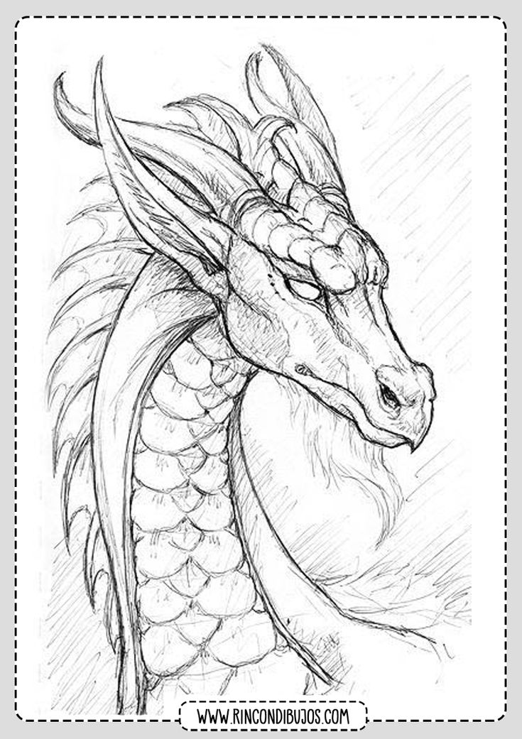 dibujos de dragones realistas