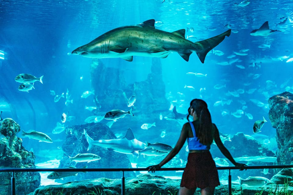 barcelona aquarium reviews