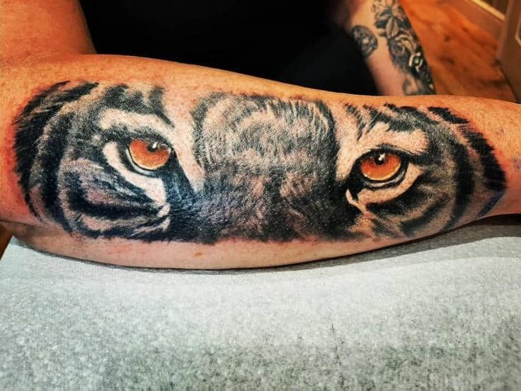 tiger eyes tattoo