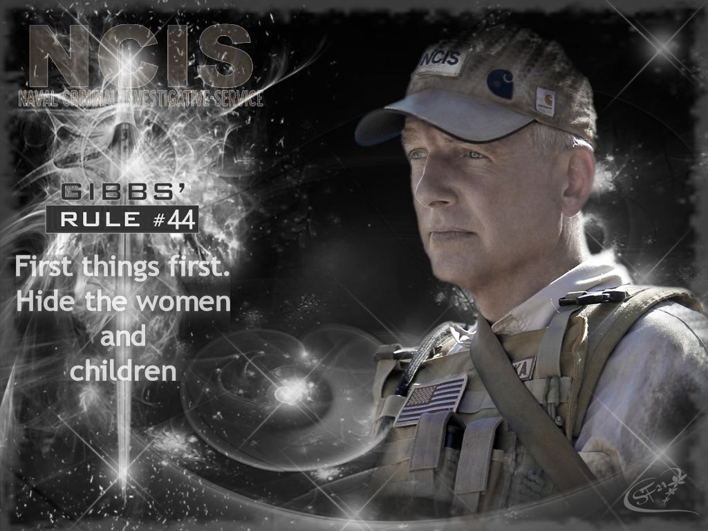 ncis gibbs rule 44