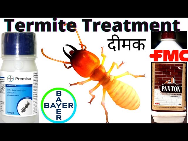 best termite killer in india