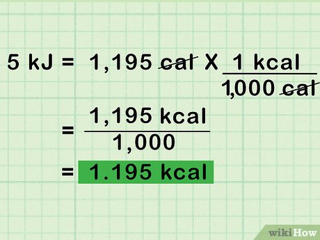 1000 kj to calories