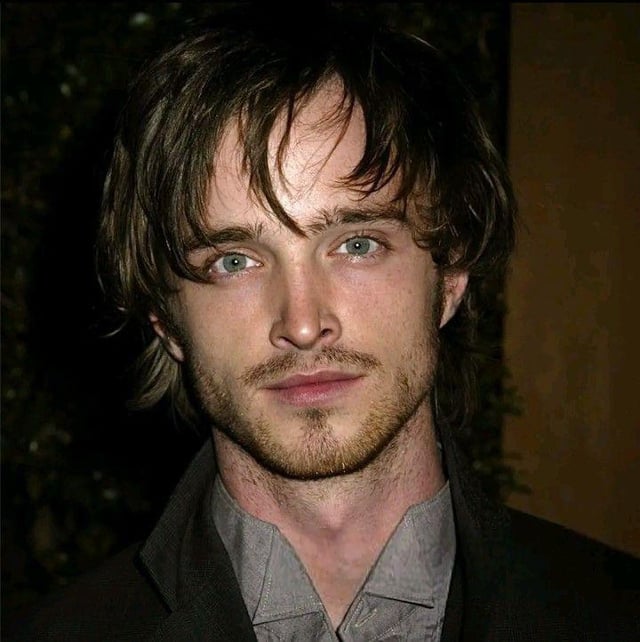 aaron paul long hair