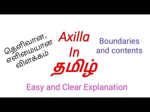 axillary meaning in tamil