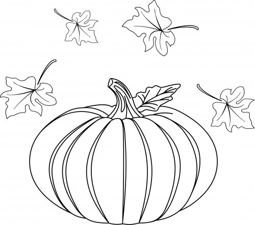 pumpkin coloring png