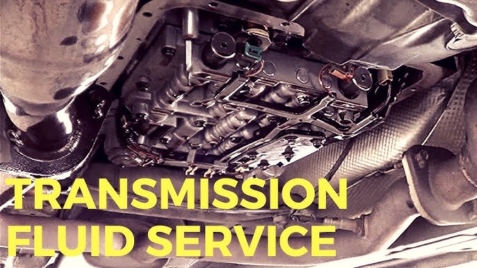 ve commodore transmission problems