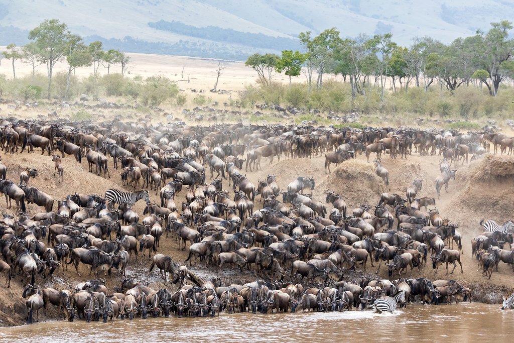 kenya temperature september