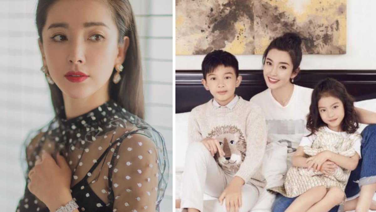 li bingbing husband