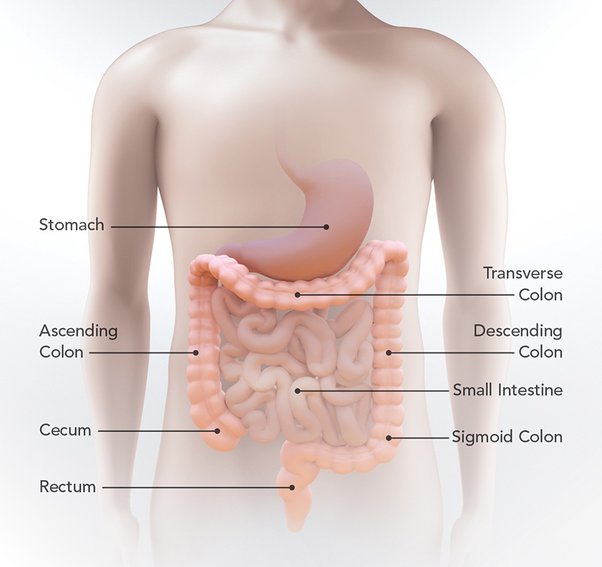 stabbing pain on right side under rib cage