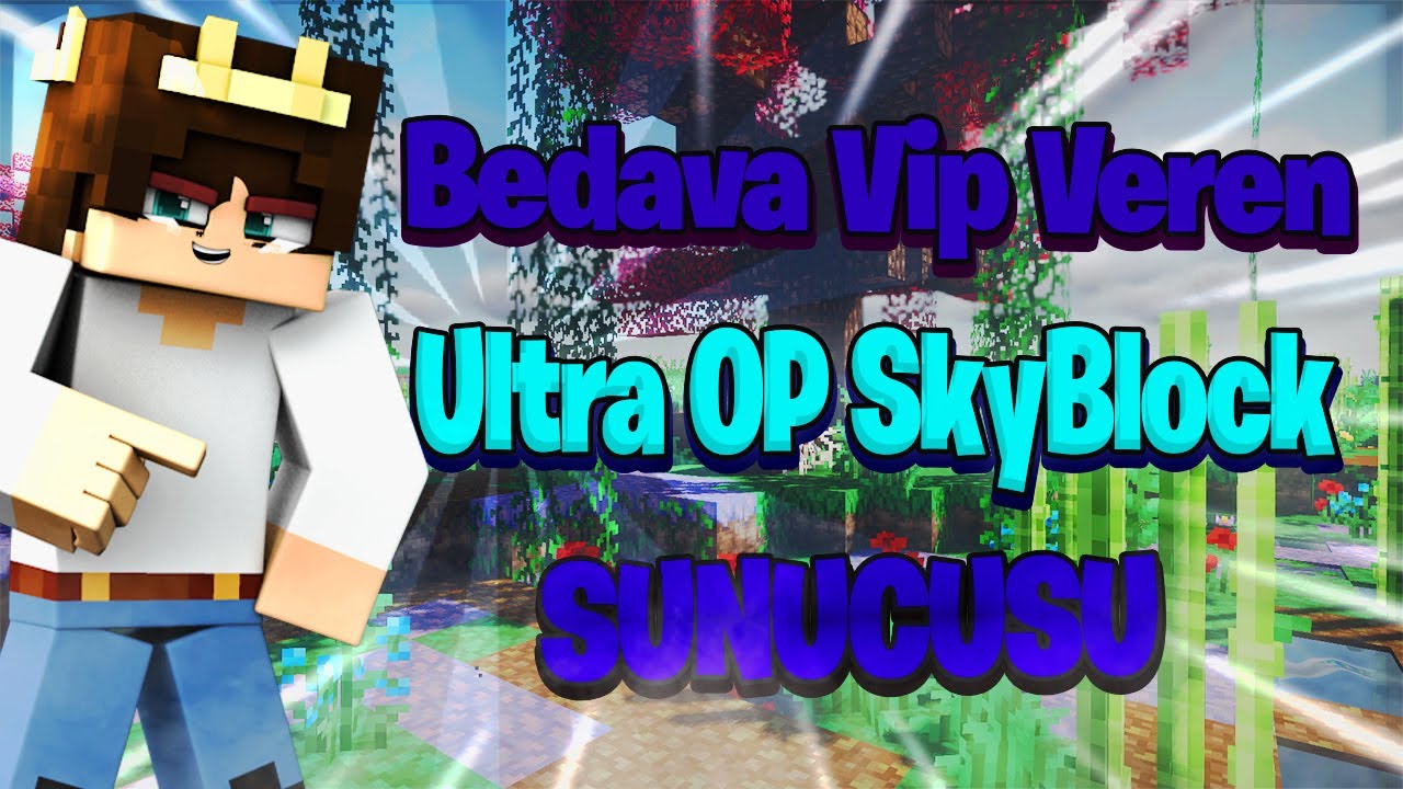 minecraft bedava vip server