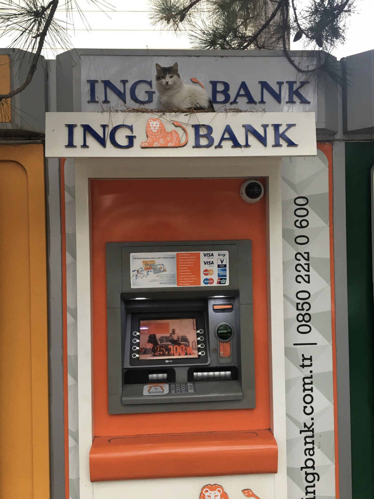 malatya ing bank atm