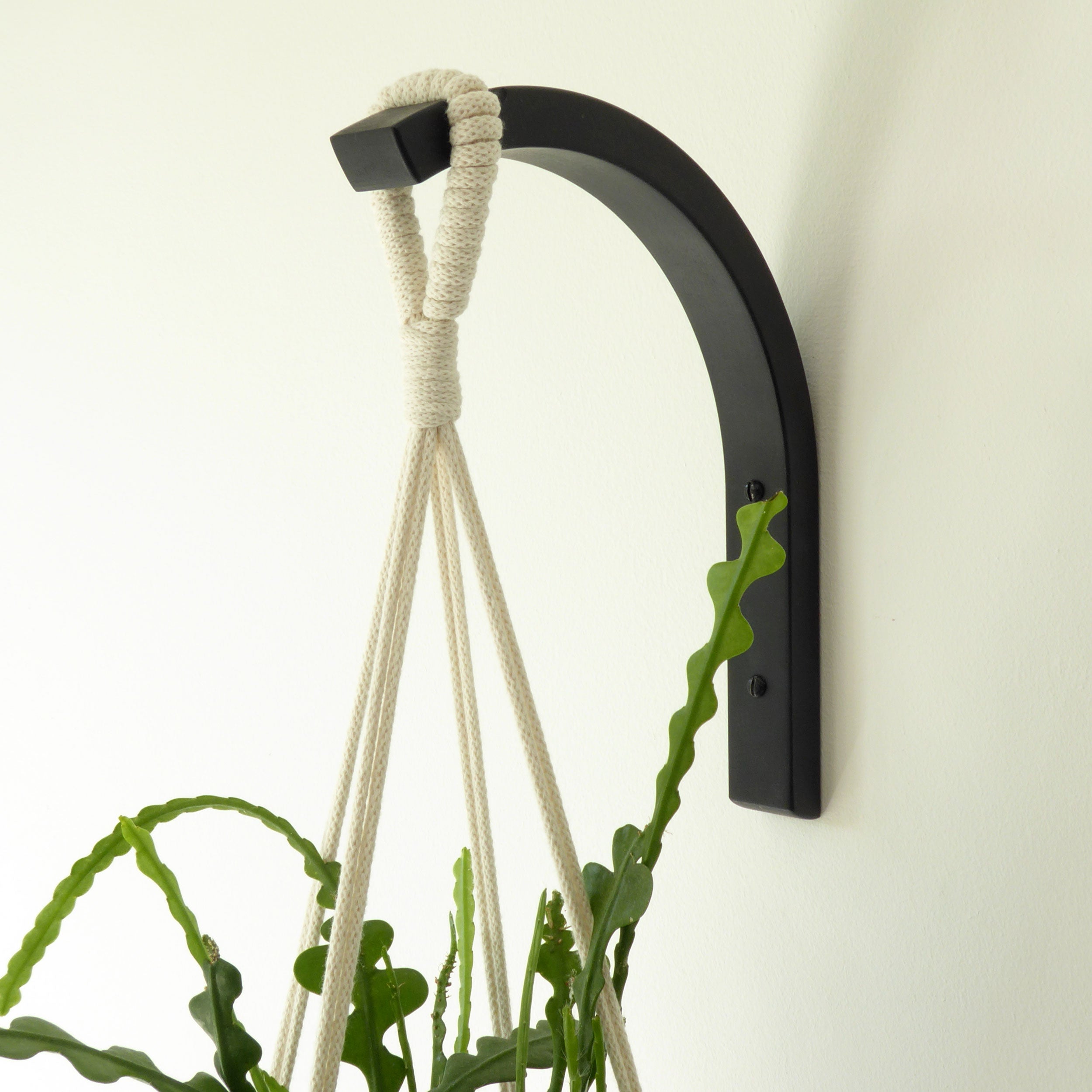 bracket plant hanger