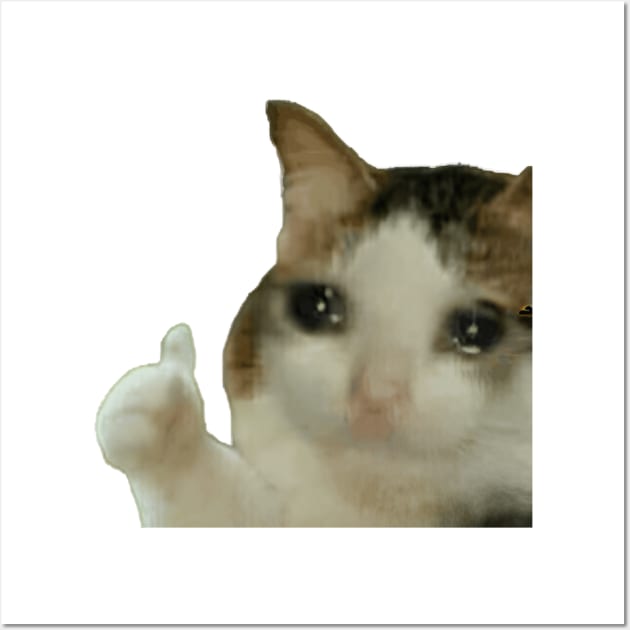 crying cat meme