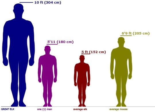 205 cm into feet