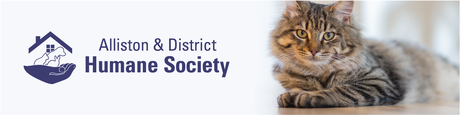 alliston & district humane society