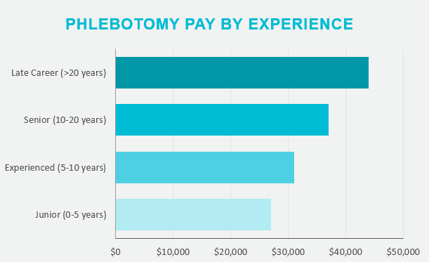 how much does a phlebotomist make a month