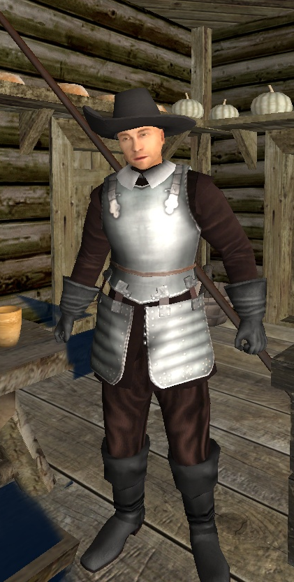 mount and blade mercenary