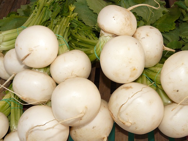 nabo vegetable in english