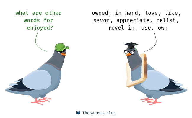 other words for enjoyed