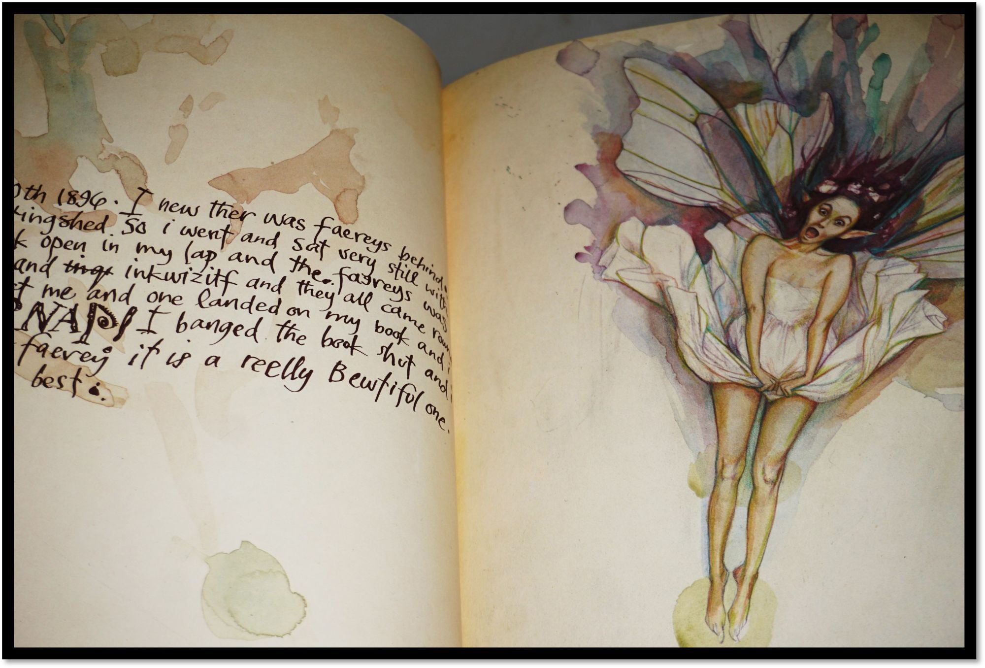 pressed fairy book