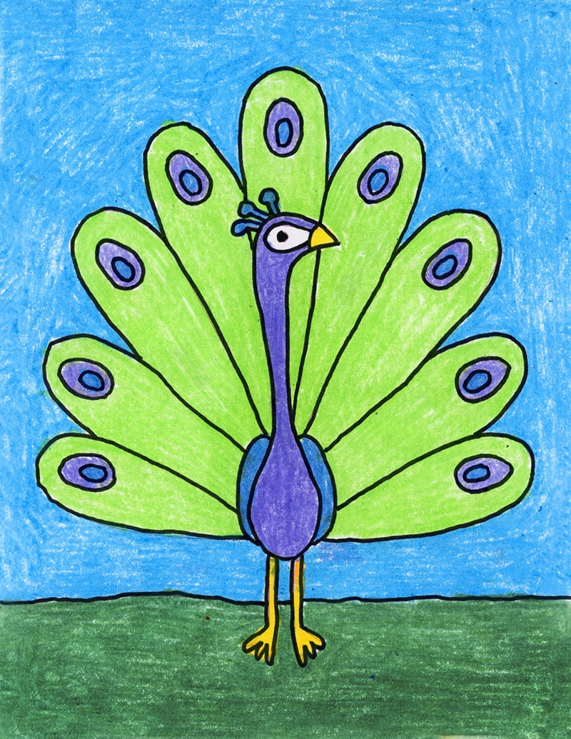 peacock drawing for kids