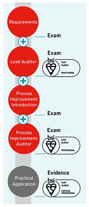 bsi audit