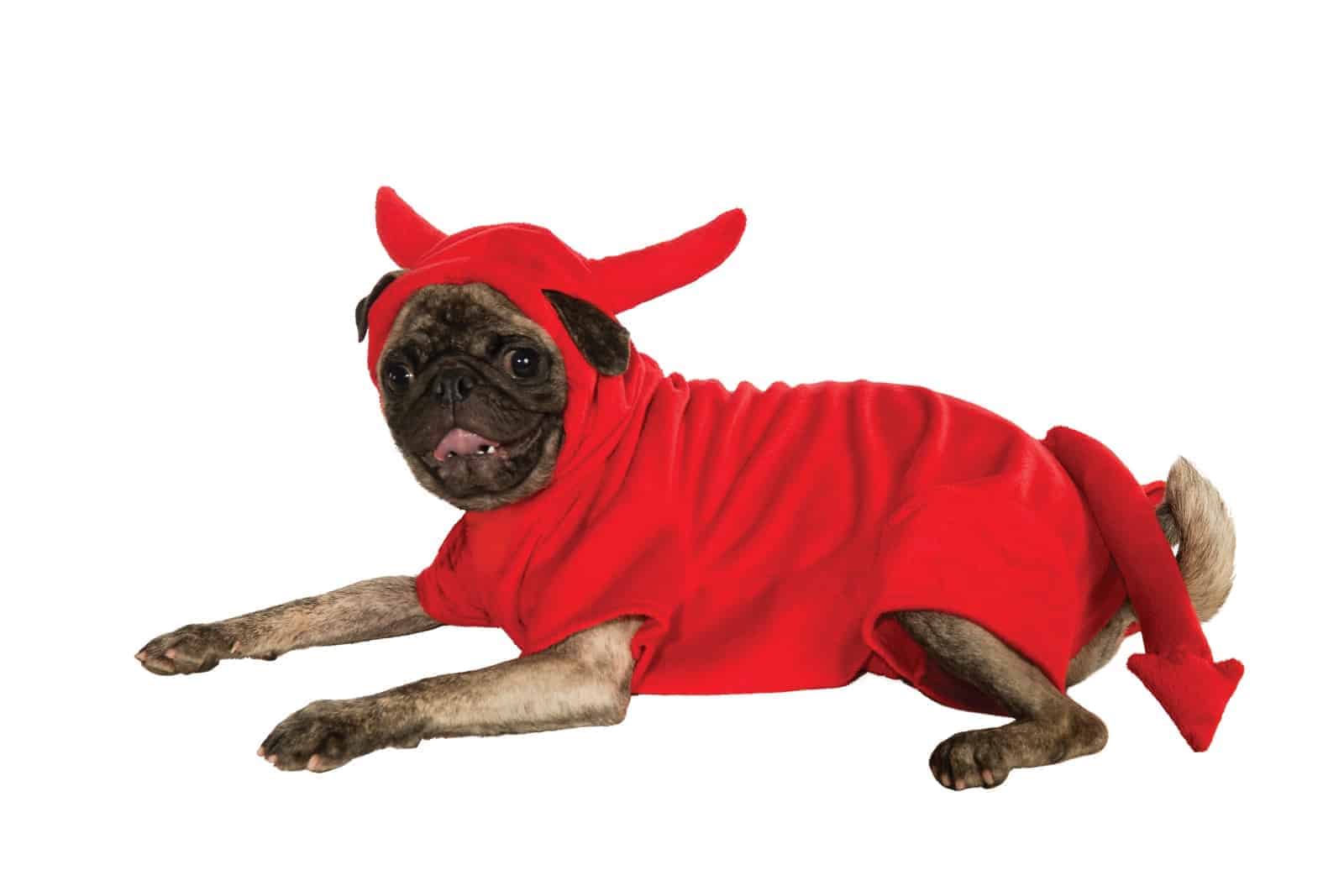 devil dog costume