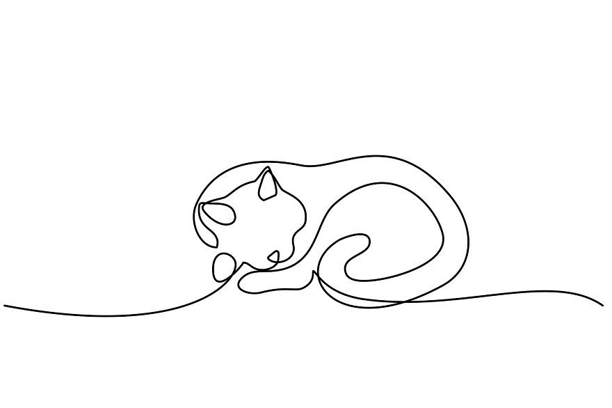 cat continuous line drawing