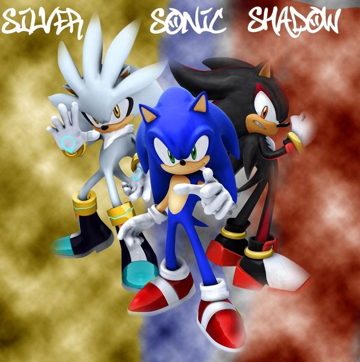 shadow the hedgehog and silver the hedgehog