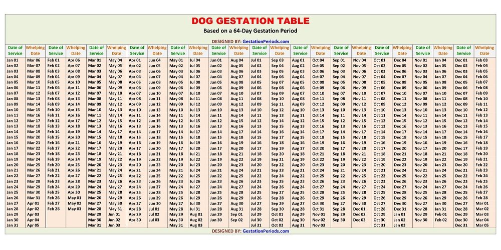 canine gestation calculator