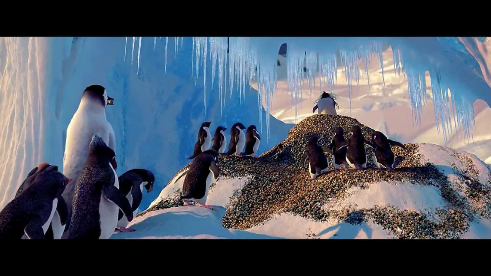 yms happy feet