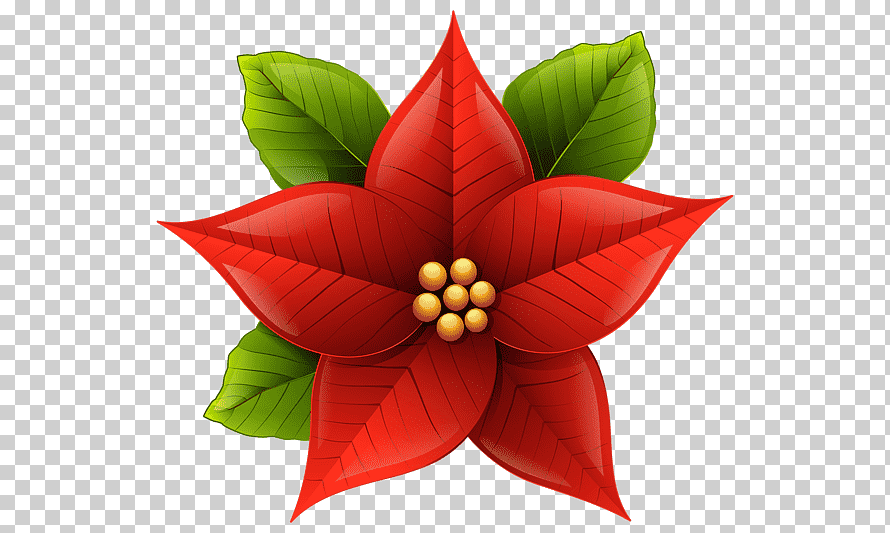 dibujo flores de navidad