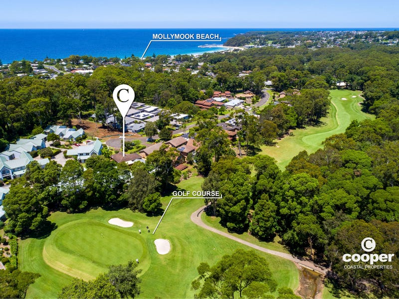 mollymook realestate