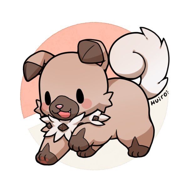 cute rockruff