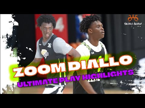 zoom diallo brother