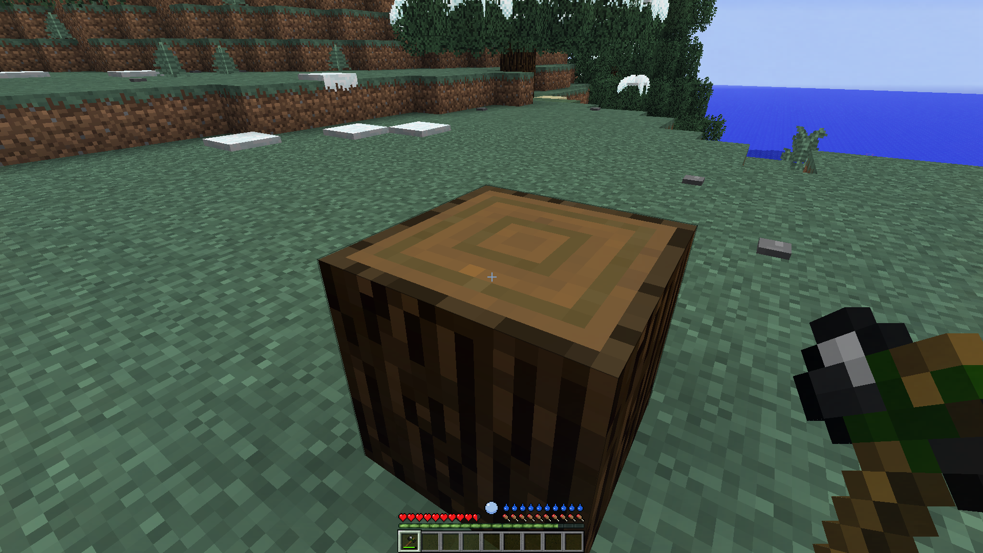 how to get planks in rl craft