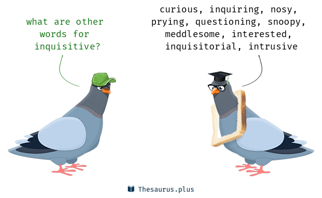 inquisitive thesaurus