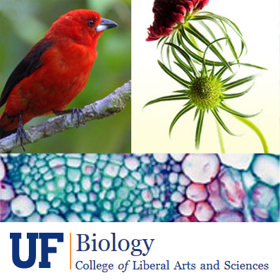 uf biology department