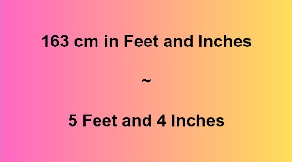 163cm to feet