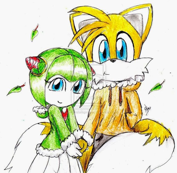 tails and cosmo