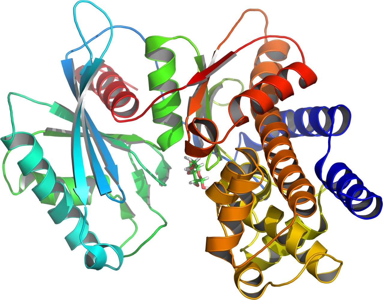 glucokinase