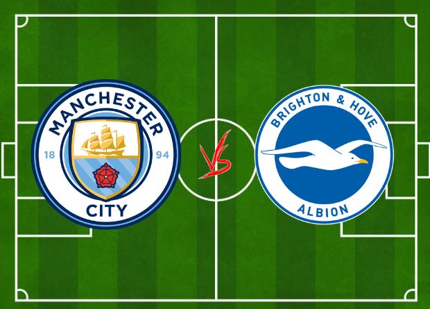 brighton & hove albion f.c. vs man city standings