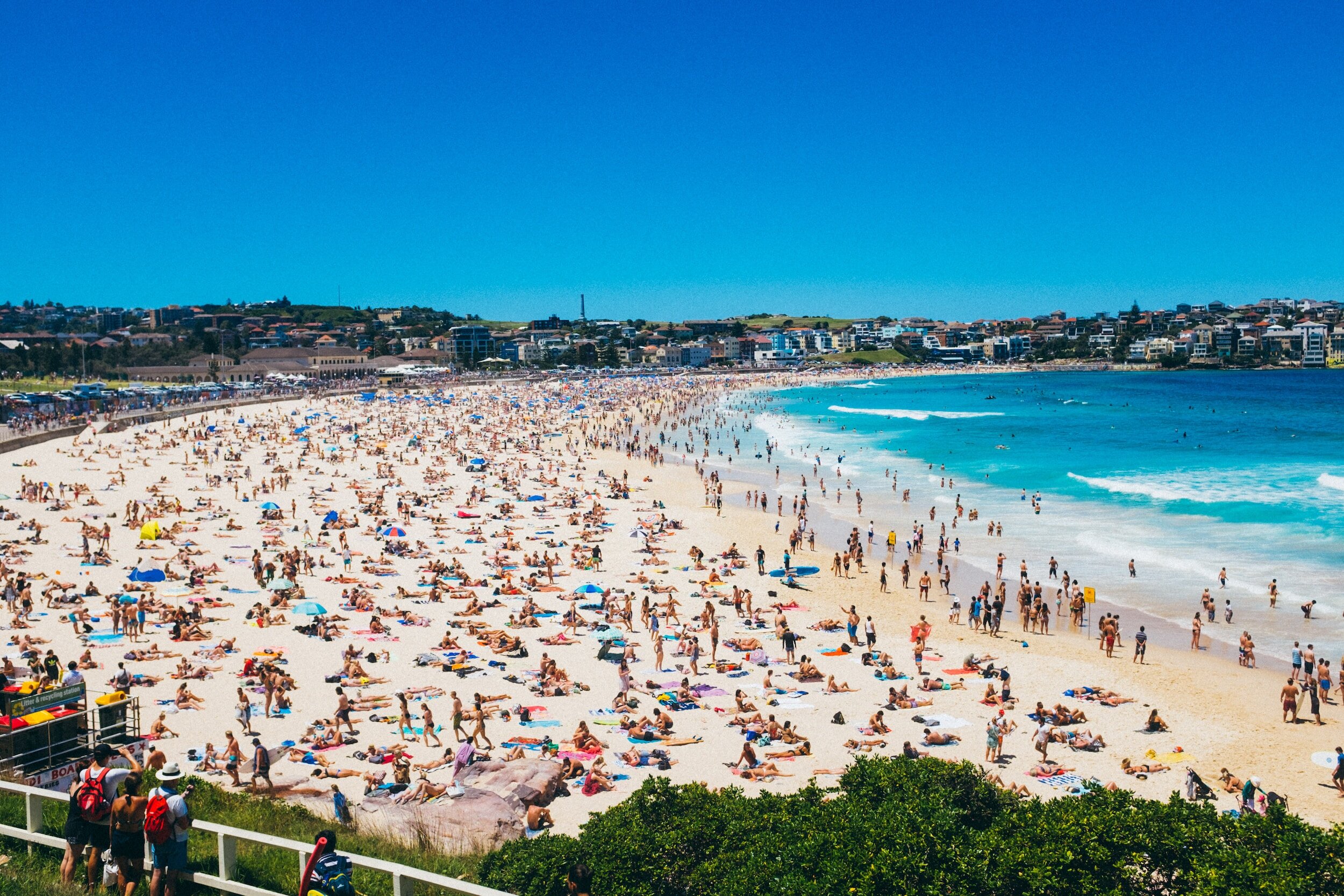 pictures of bondi