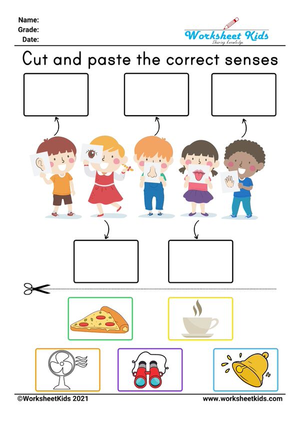 five senses cut and paste worksheets