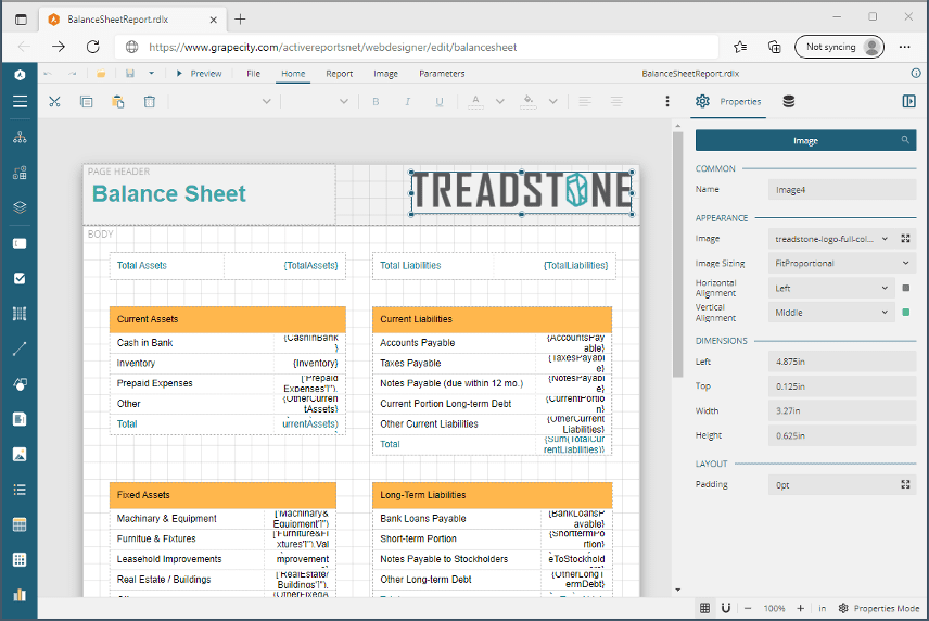 active reports c# example