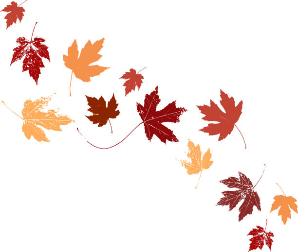 autumn leaves clip art