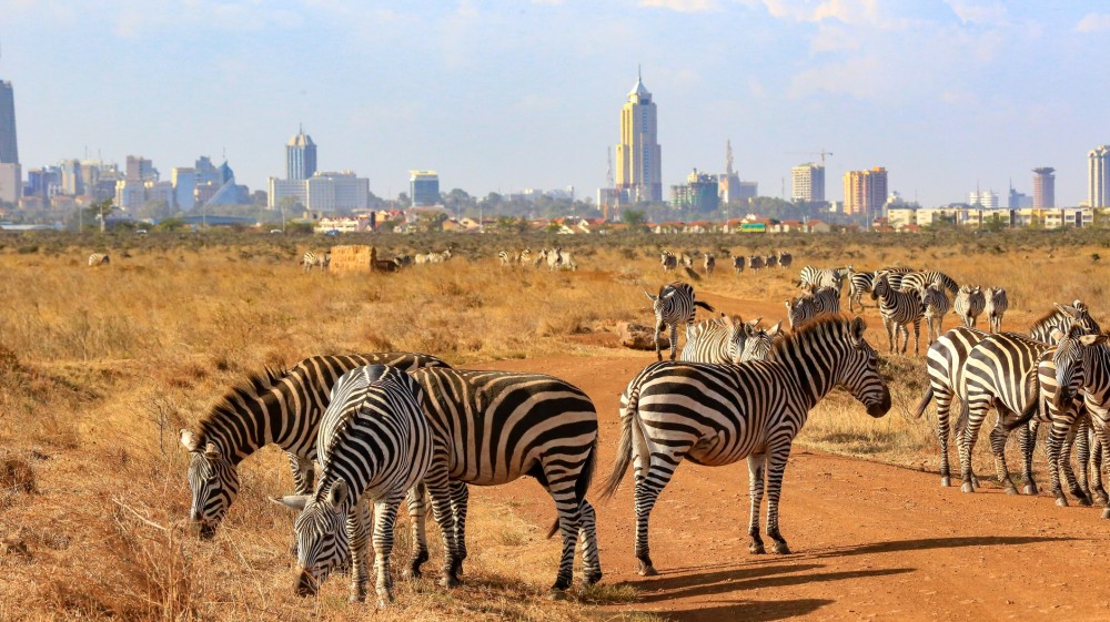 july weather kenya